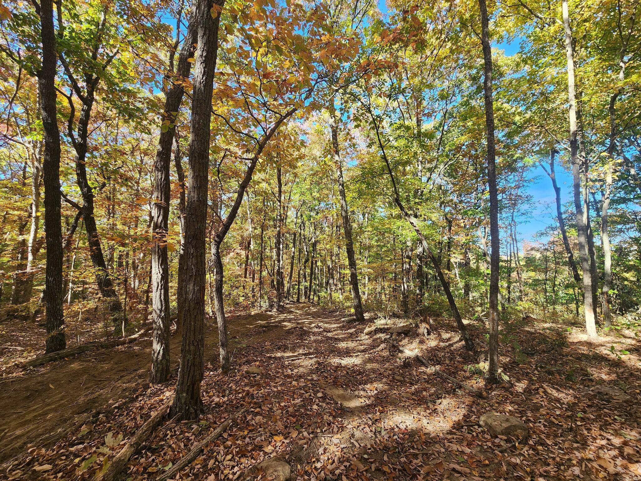 12 Higgenbottom Turnpike, 12