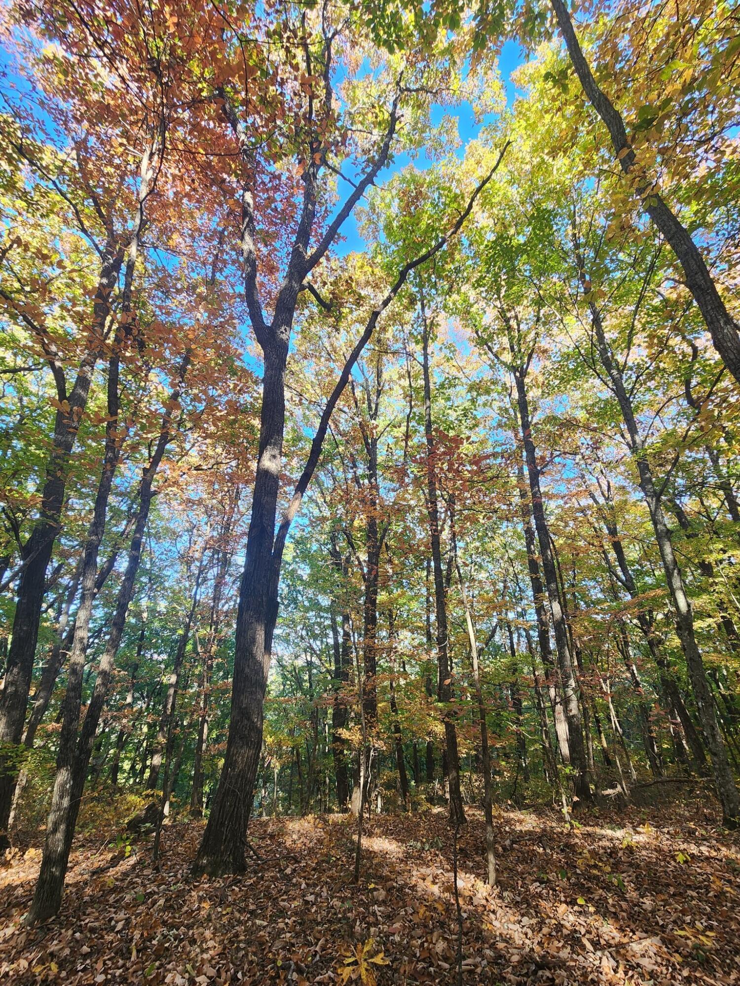 12 Higgenbottom Turnpike, 12