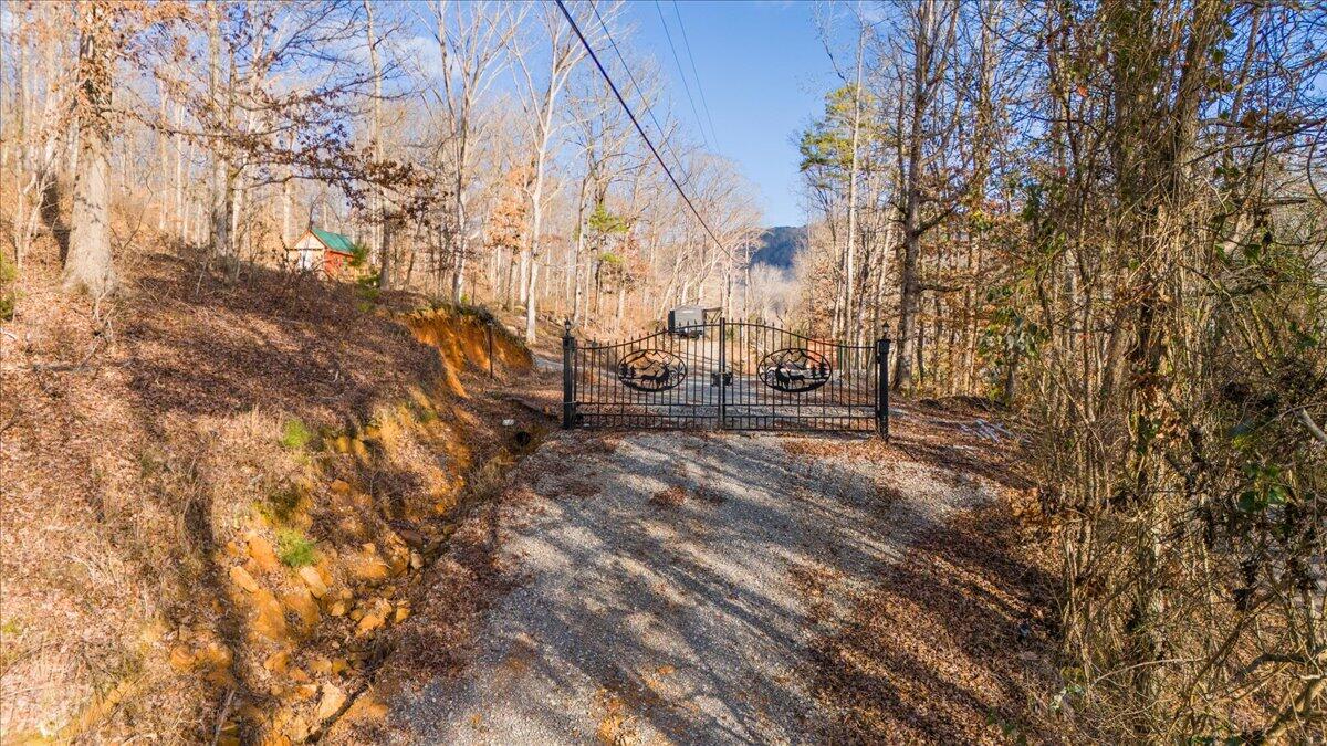 10495 Mullins Cove Road