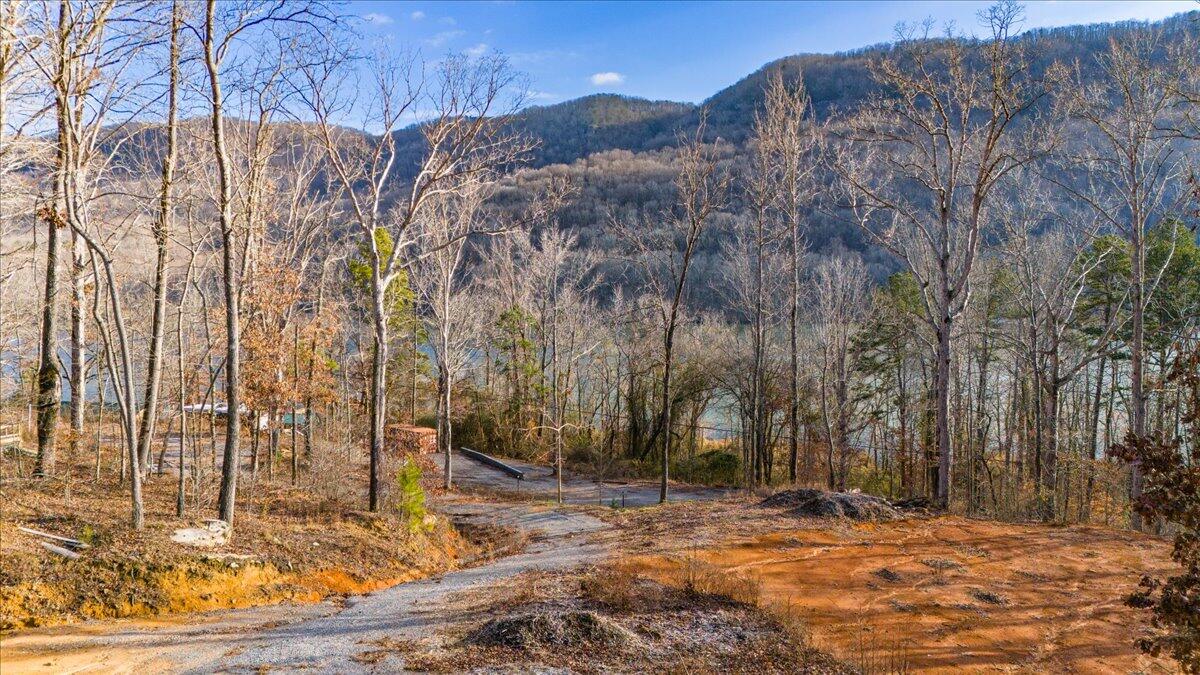 10495 Mullins Cove Road