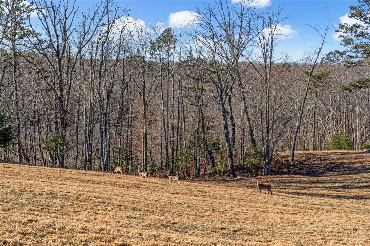 0 Old Harris Turnpike Road, Lot 17