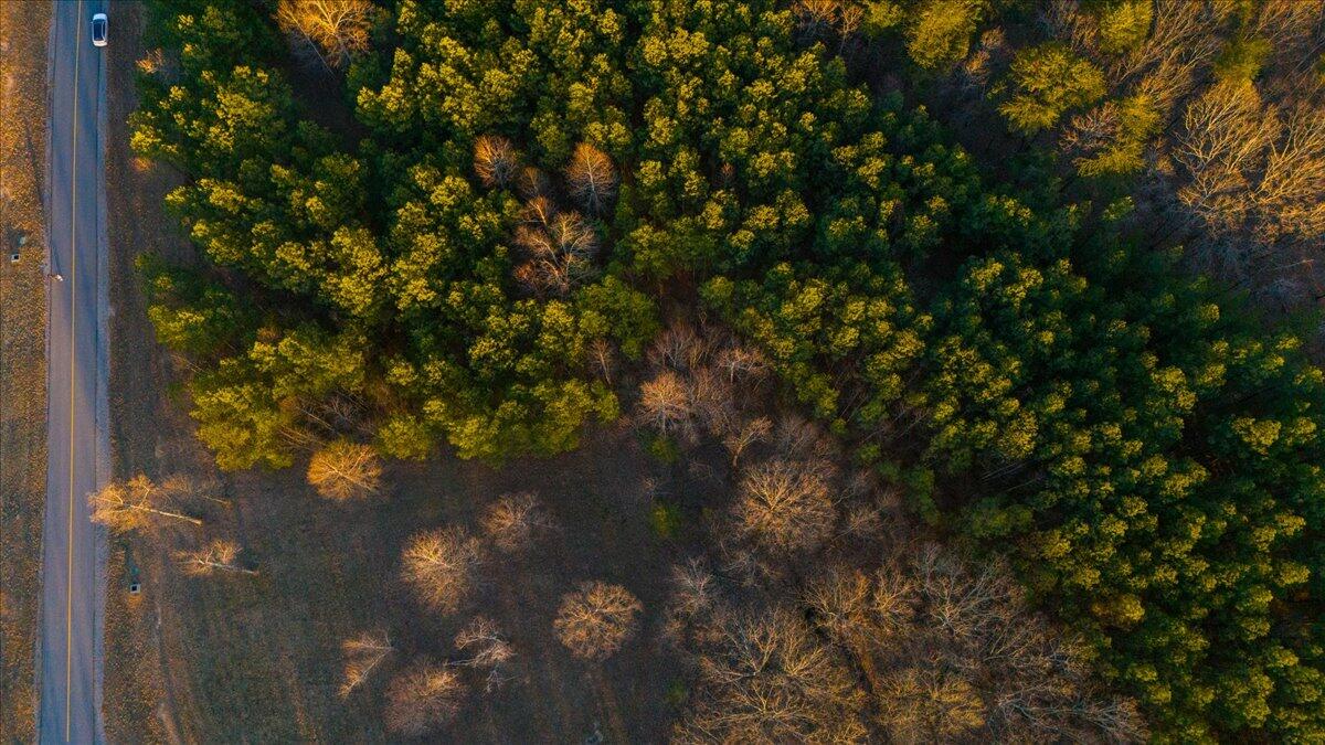 0 Volunteer Street, 358