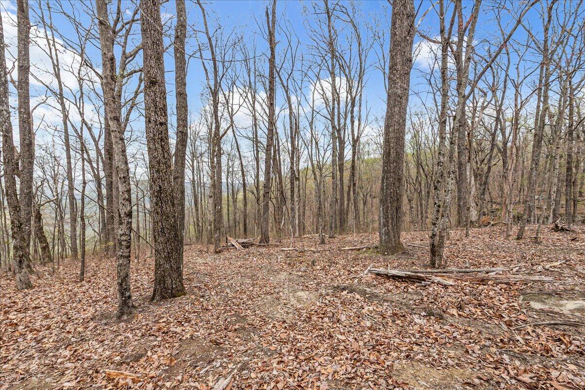 4660 S Pittsburg Mountain Road