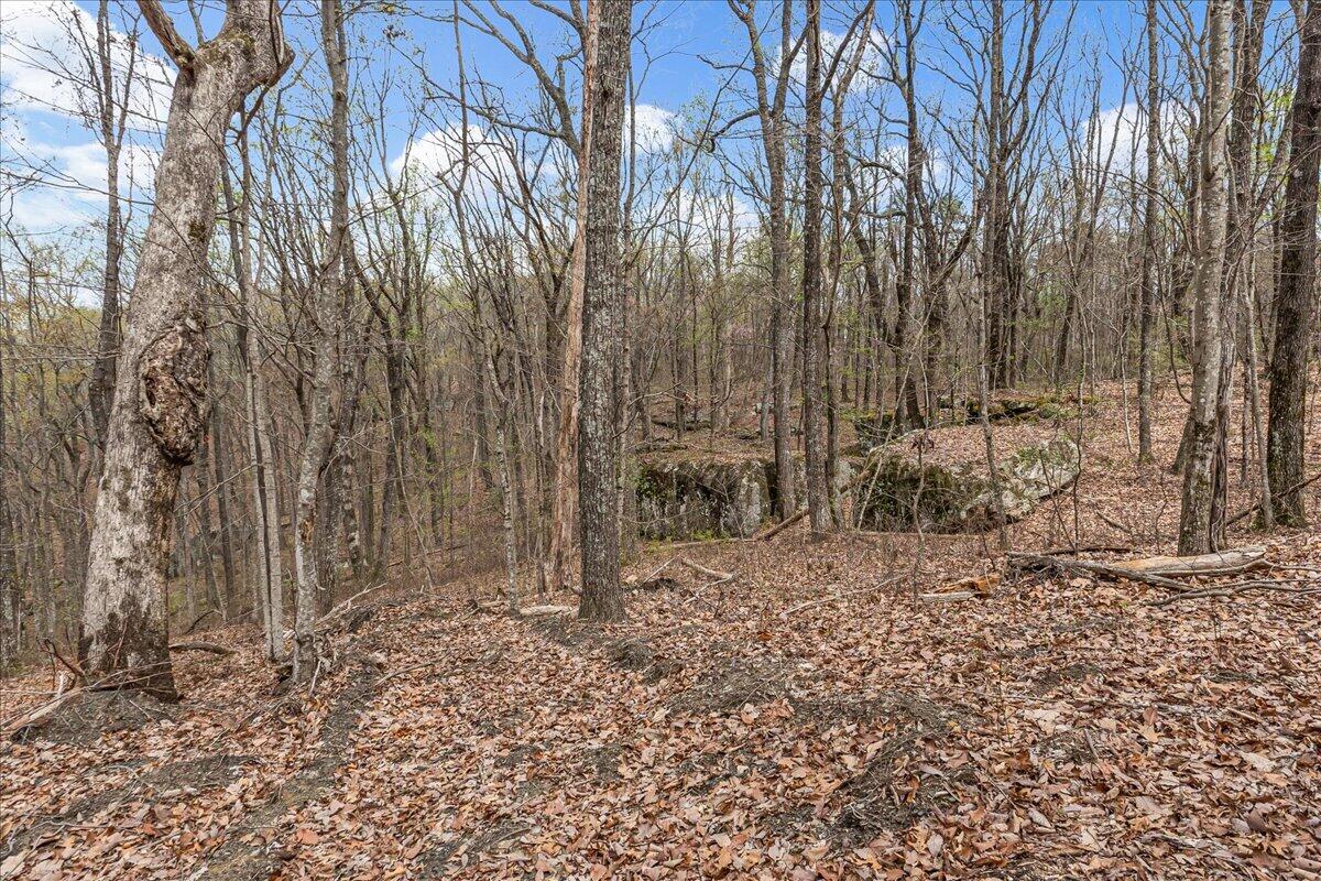 4660 S Pittsburg Mountain Road