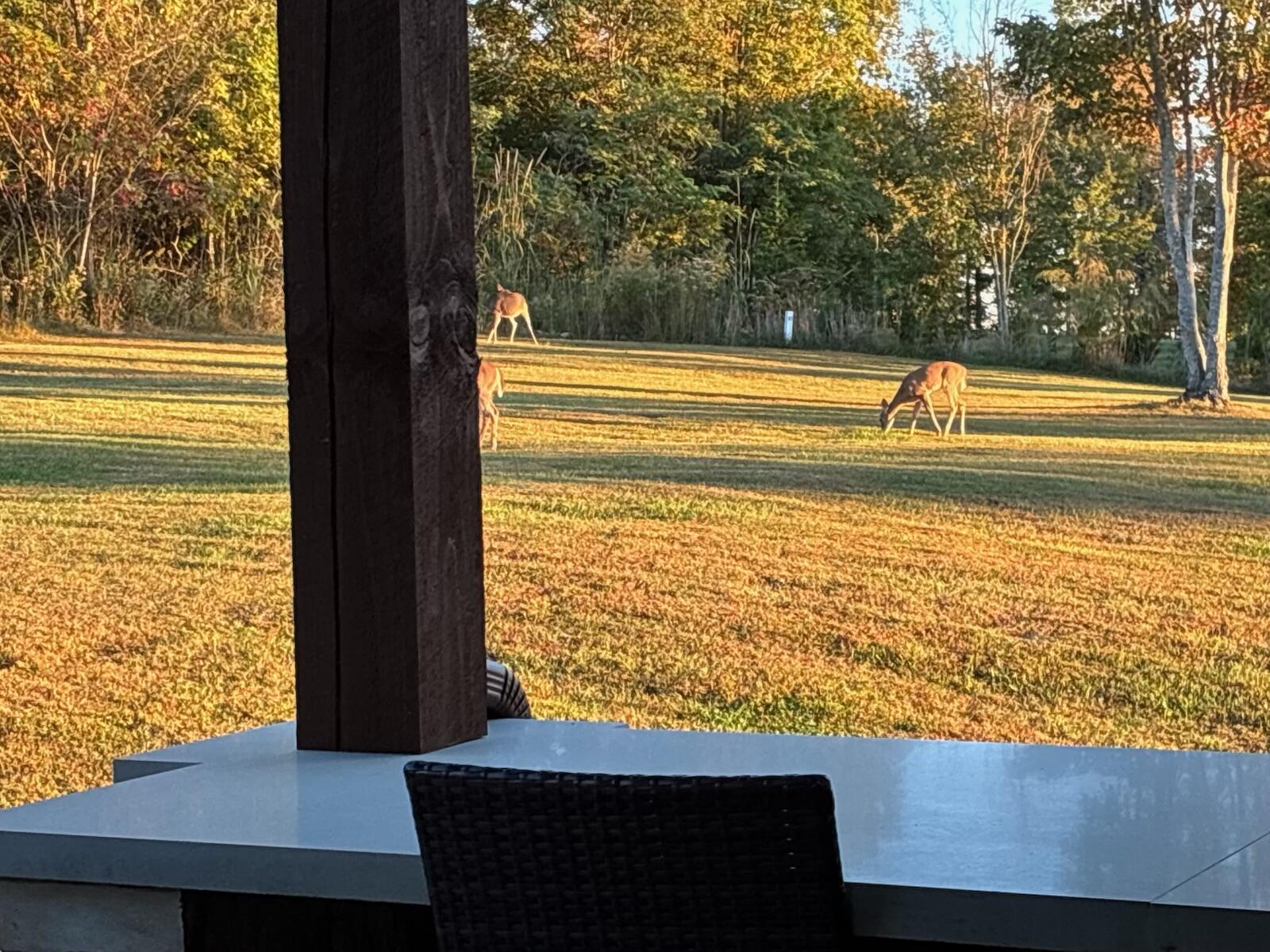 1165 River Bluffs Drive, Rb-97