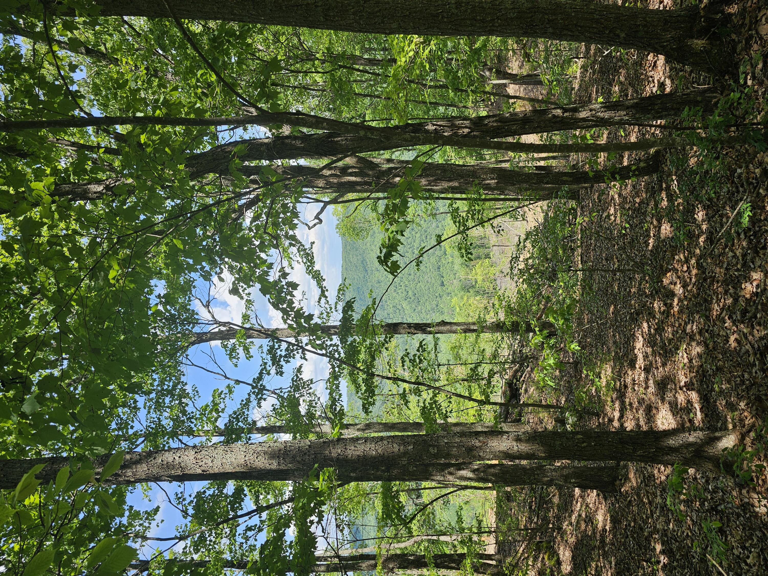 11 Higgenbottom Turnpike, 11