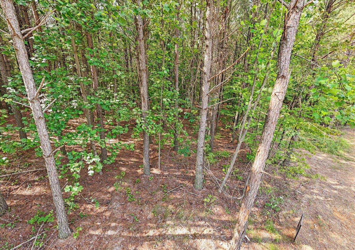 0 Serenity Way, 1166