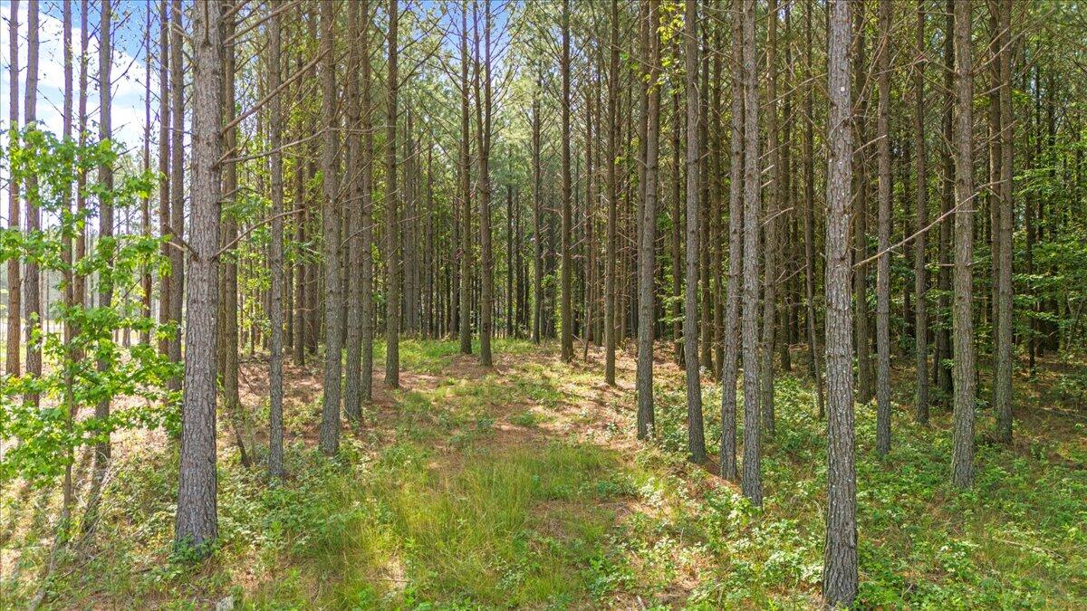 0 Serenity Way, 1166