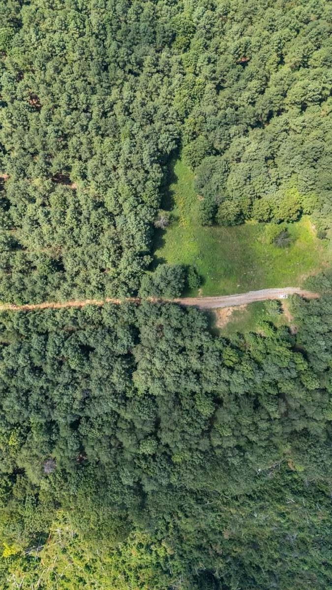 0 Melody Drive, 2054