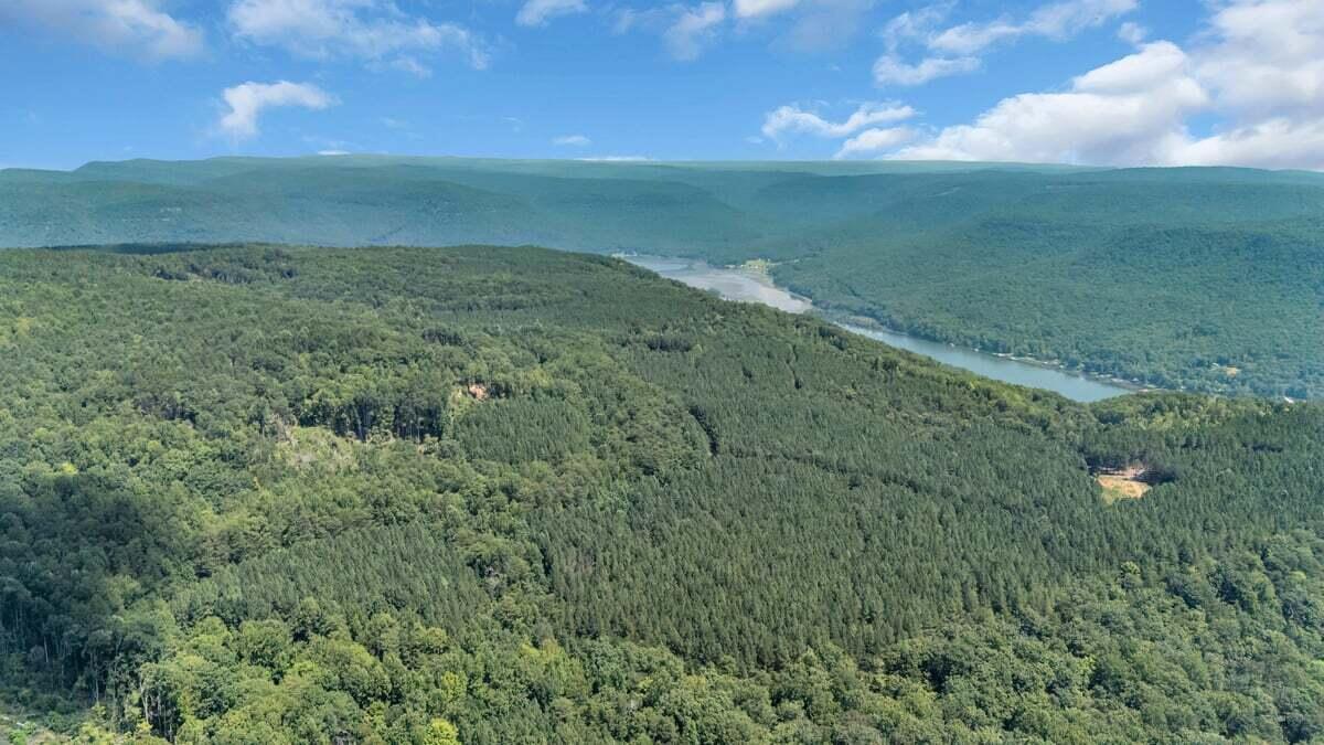 0 Melody Drive, 2054