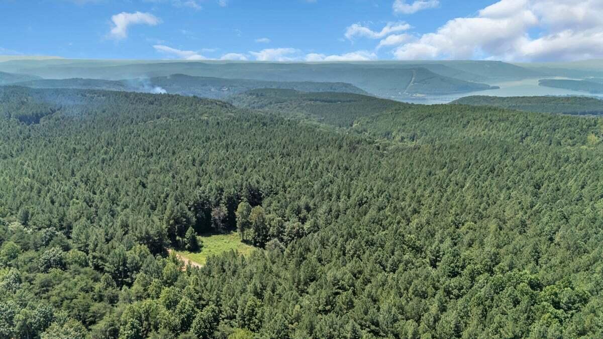 0 Melody Drive, 2054