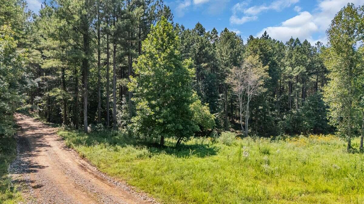 0 Melody Drive, 2054