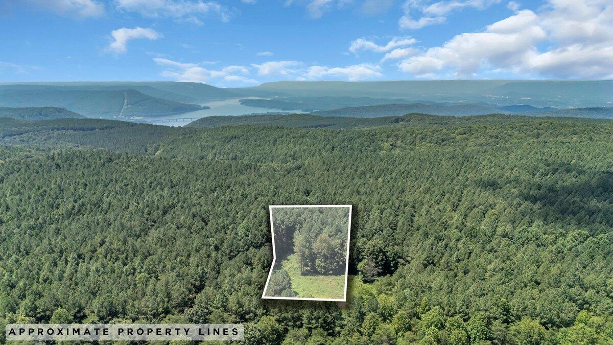 0 Melody Drive, 2054