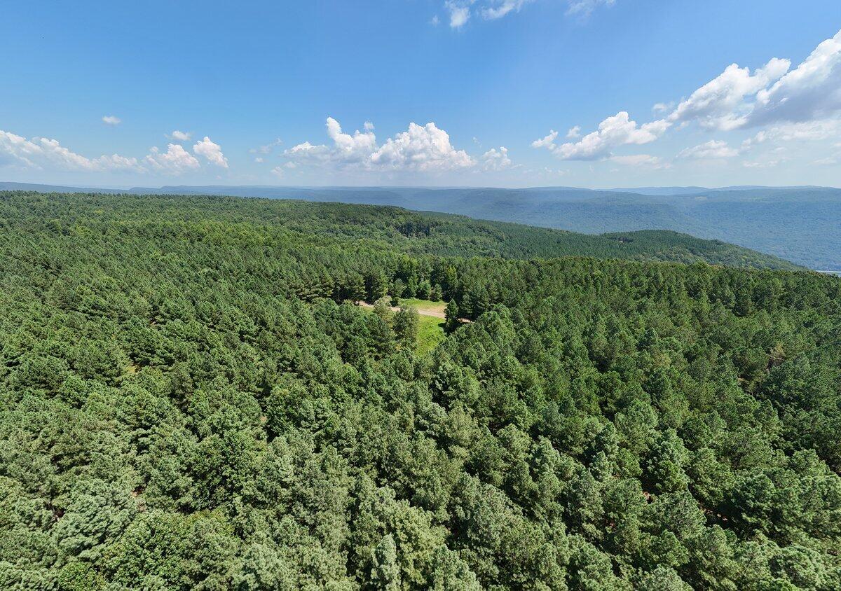 00 Melody Drive, 2054