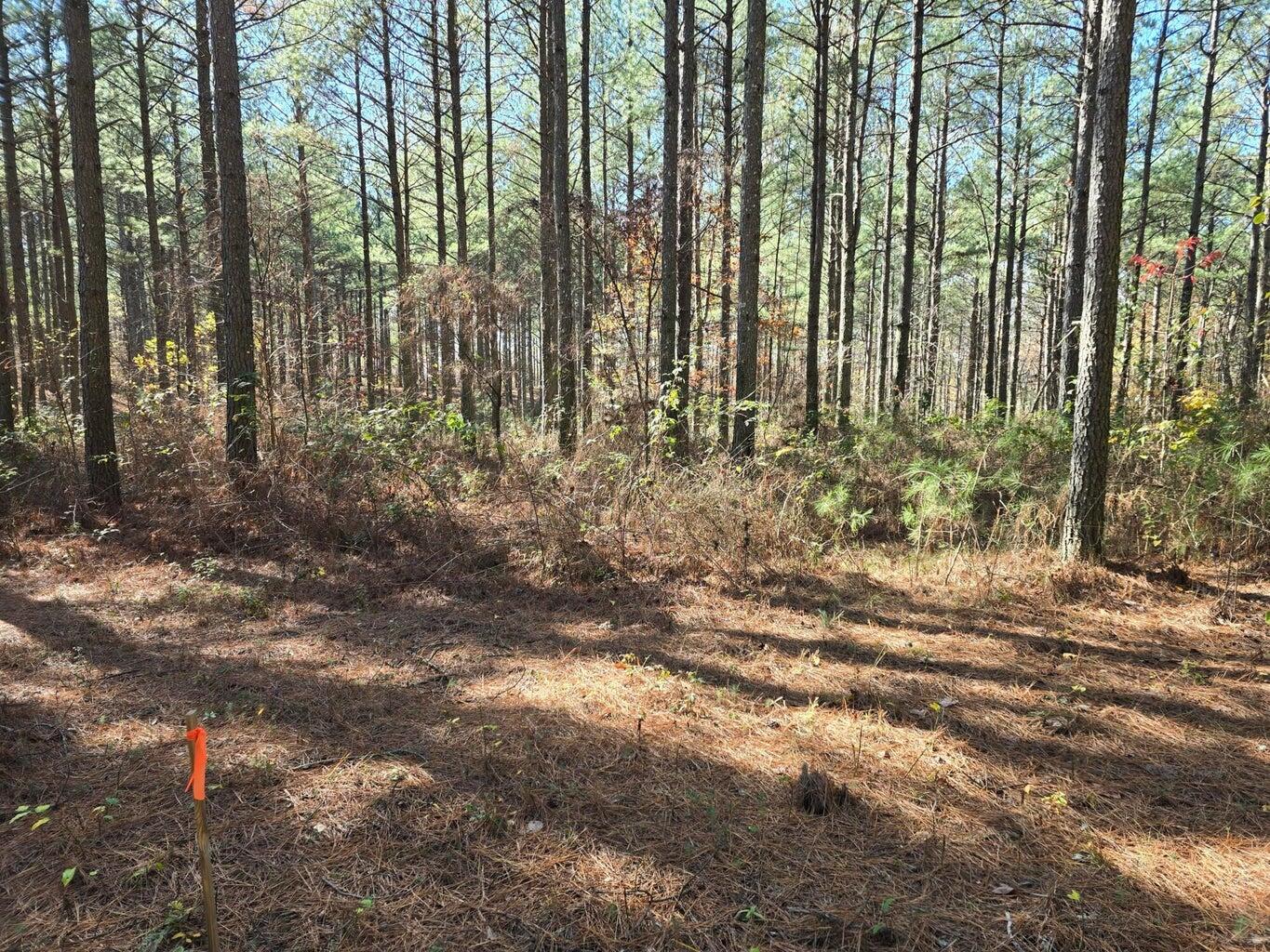 00 Melody Drive, 2054