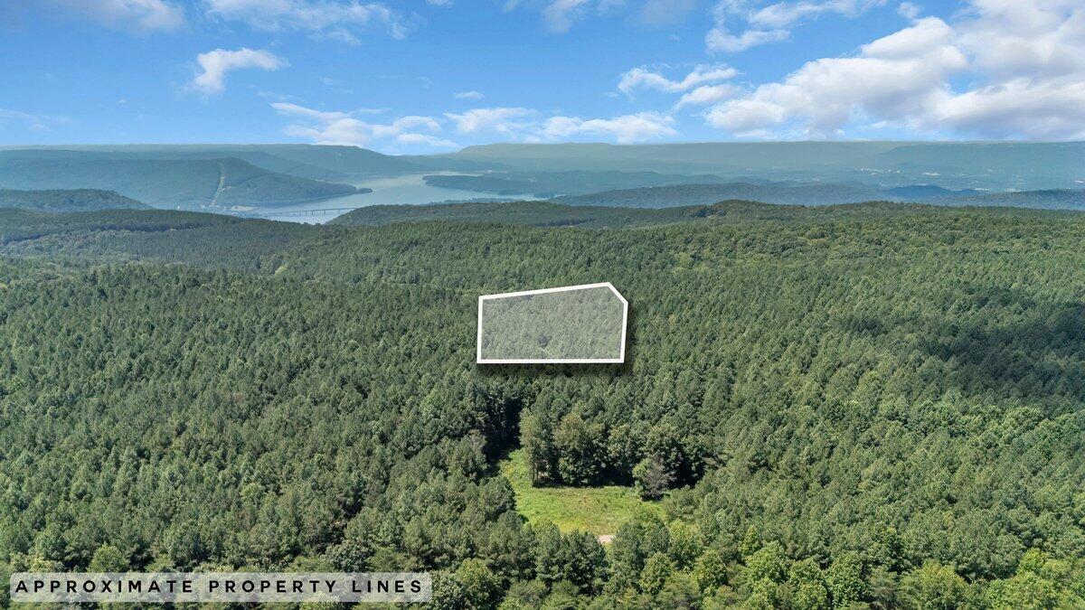 00 Melody Drive, 2054