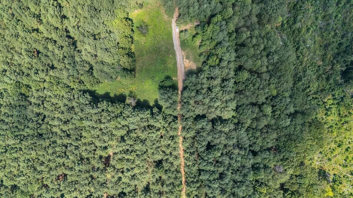 00 Melody Drive, 2054