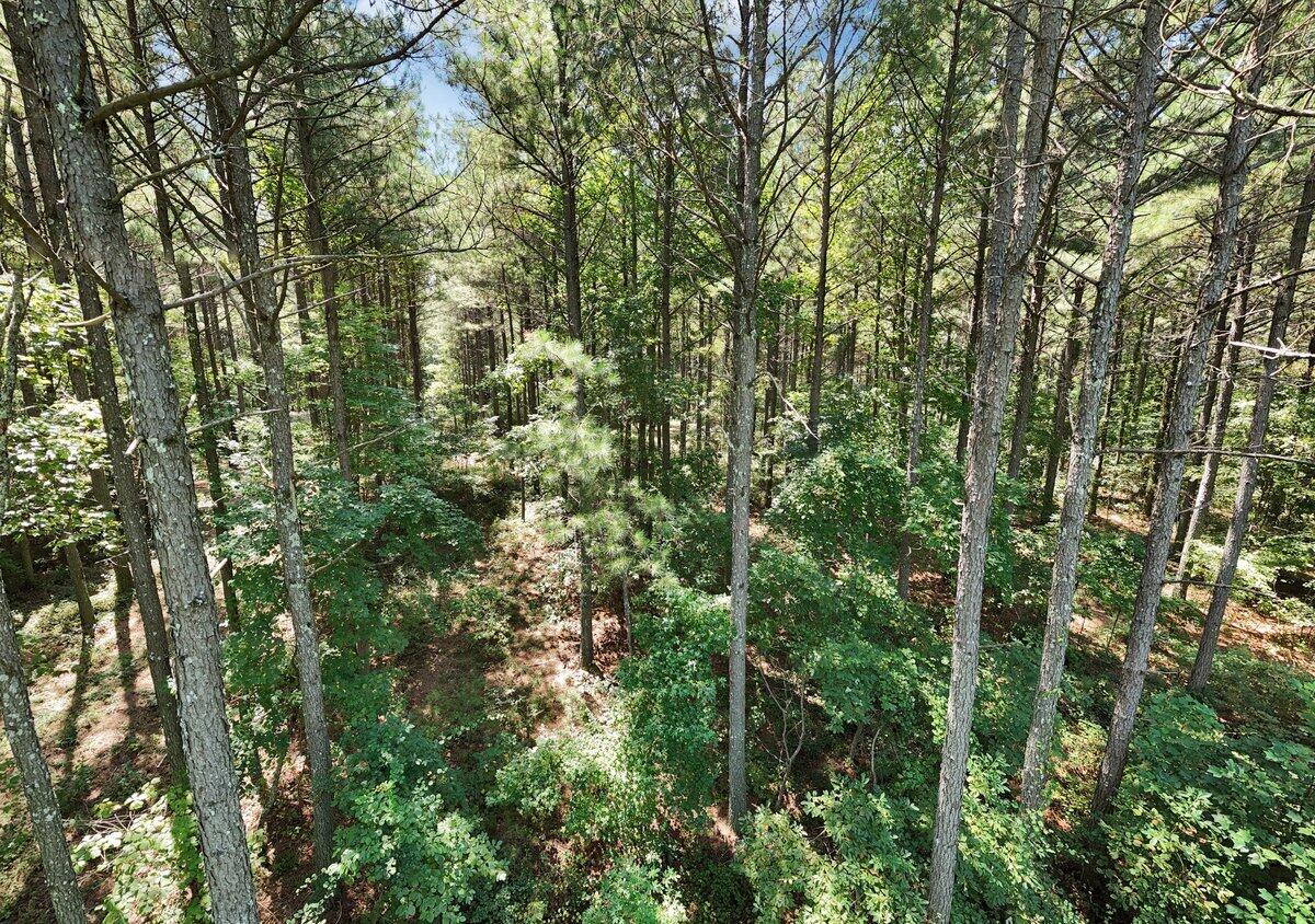 00 Melody Drive, 2054