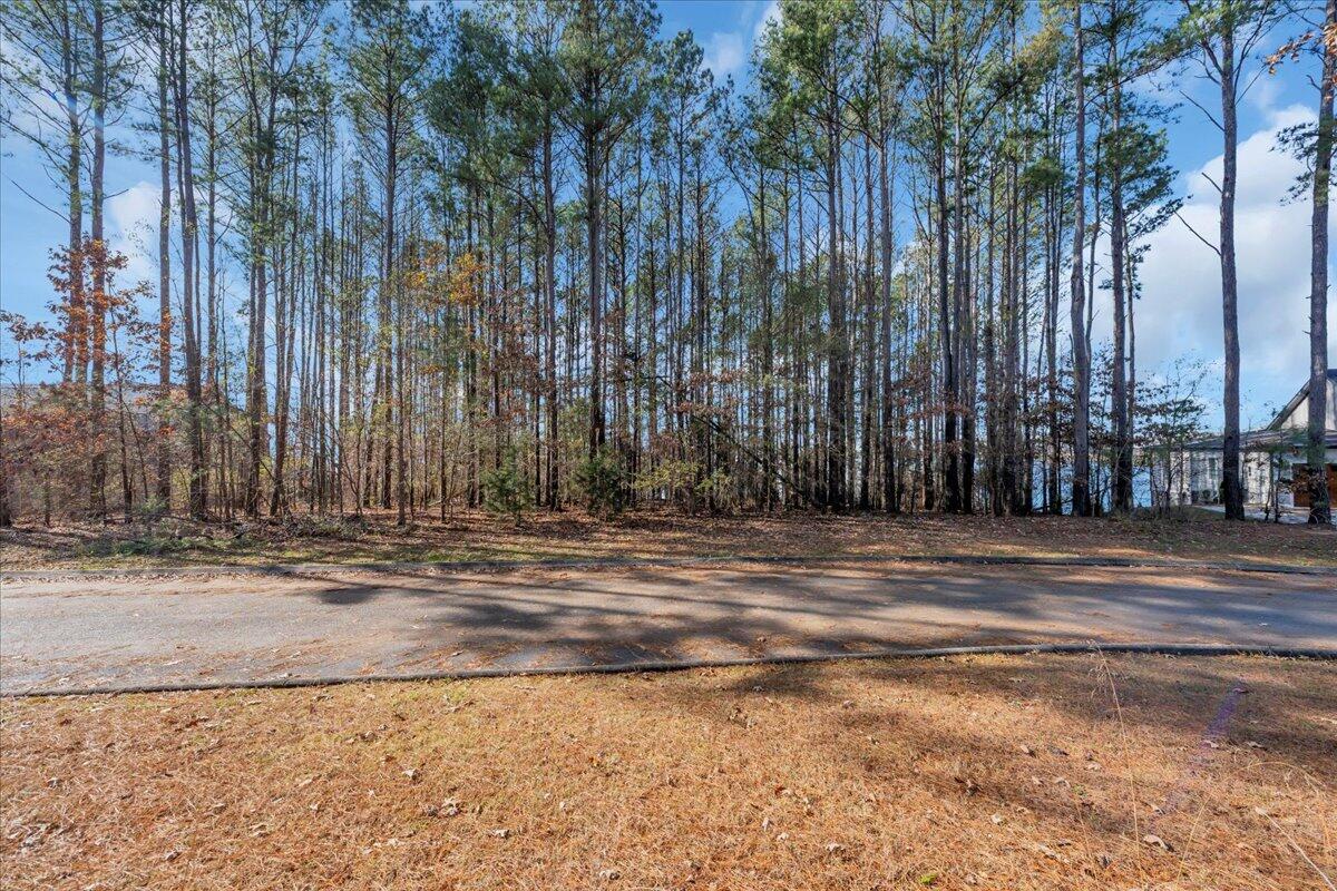 0 Castaway Lot 76 Lane