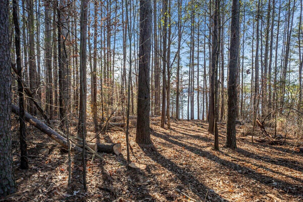 0 Castaway Lot 76 Lane