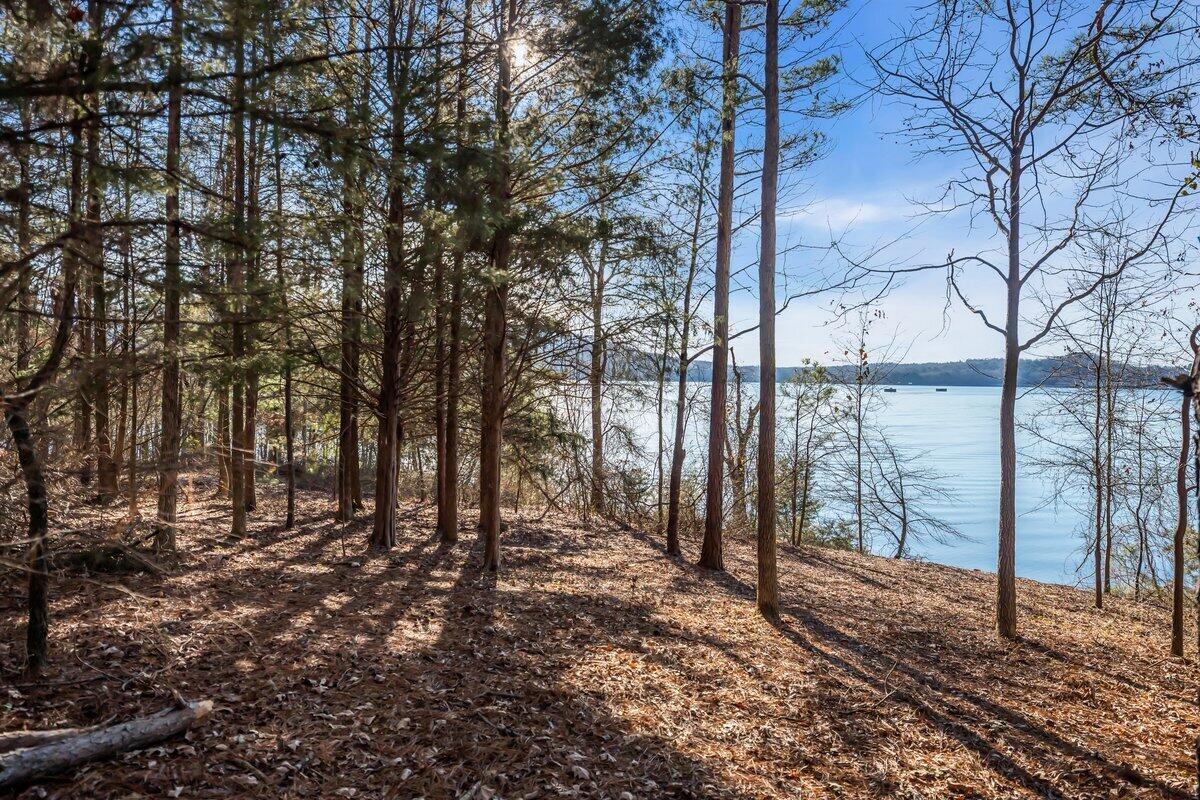 0 Castaway Lot 76 Lane