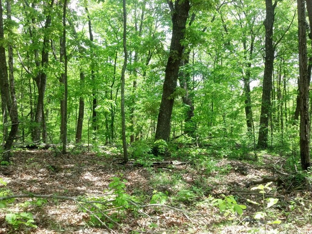 0 Sequatchie Mountain Road