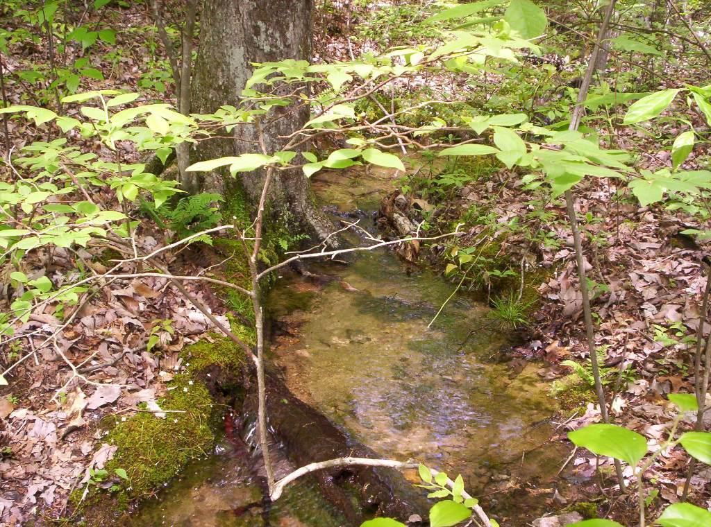 0 Sequatchie Mountain Road