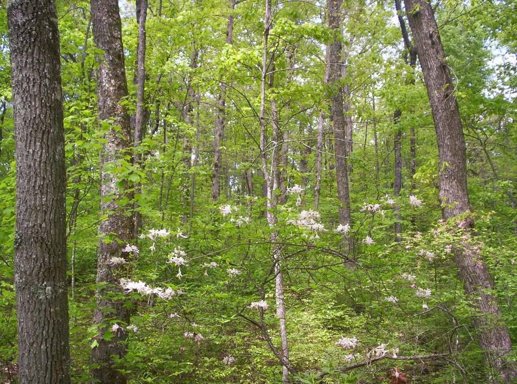 0 Sequatchie Mountain Road
