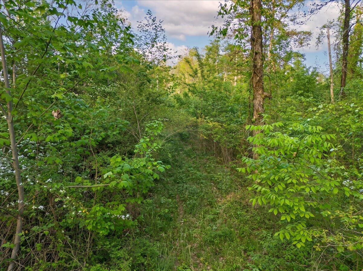 0 Sequatchie Mountain Road