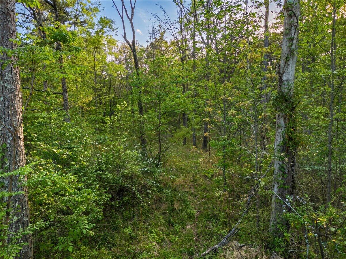 0 Sequatchie Mountain Road
