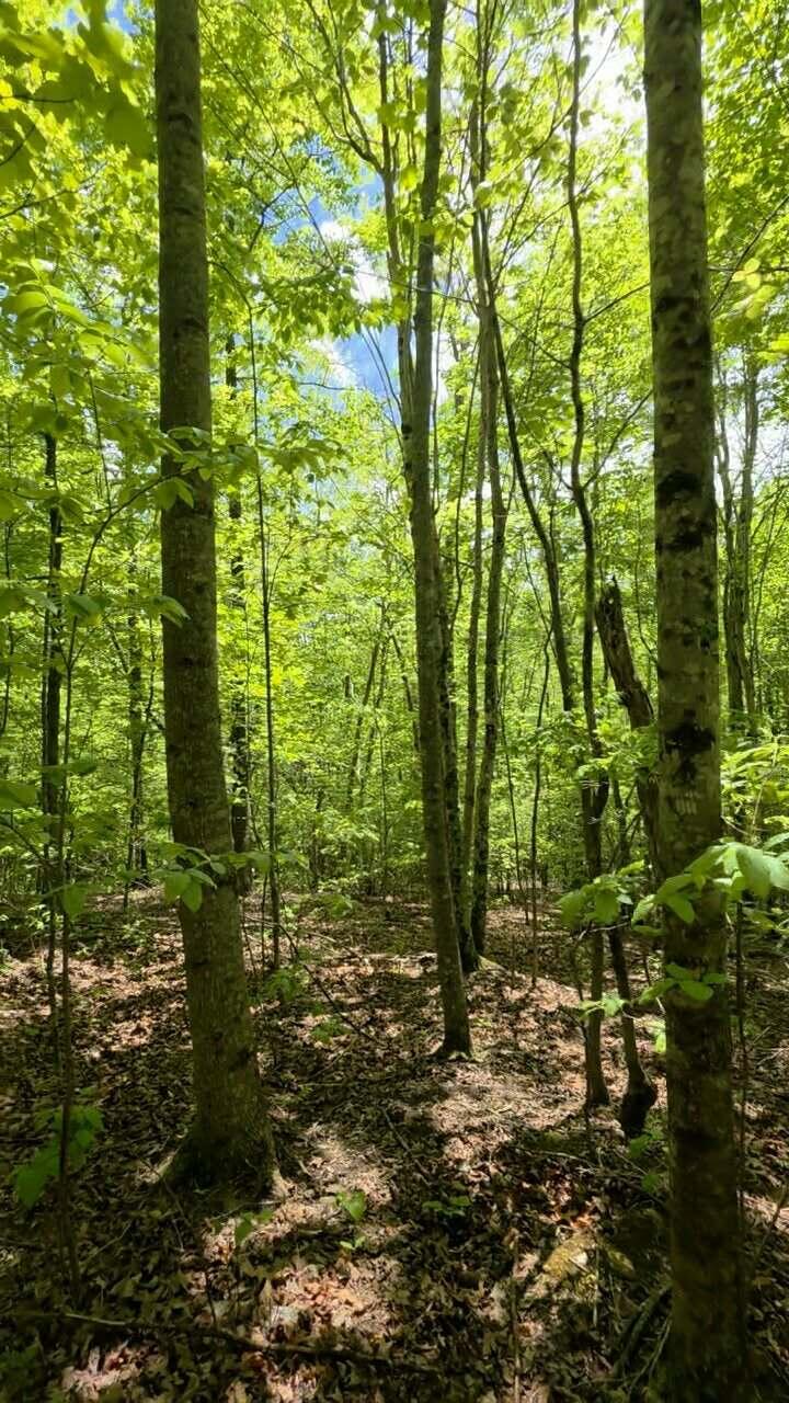 Lot 15b Cluck Cove Road
