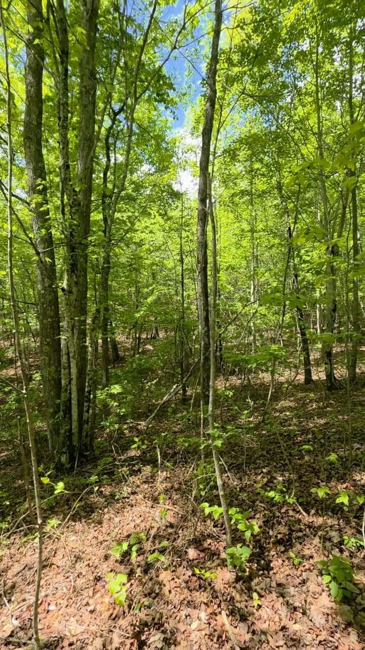 Lot 15b Cluck Cove Road
