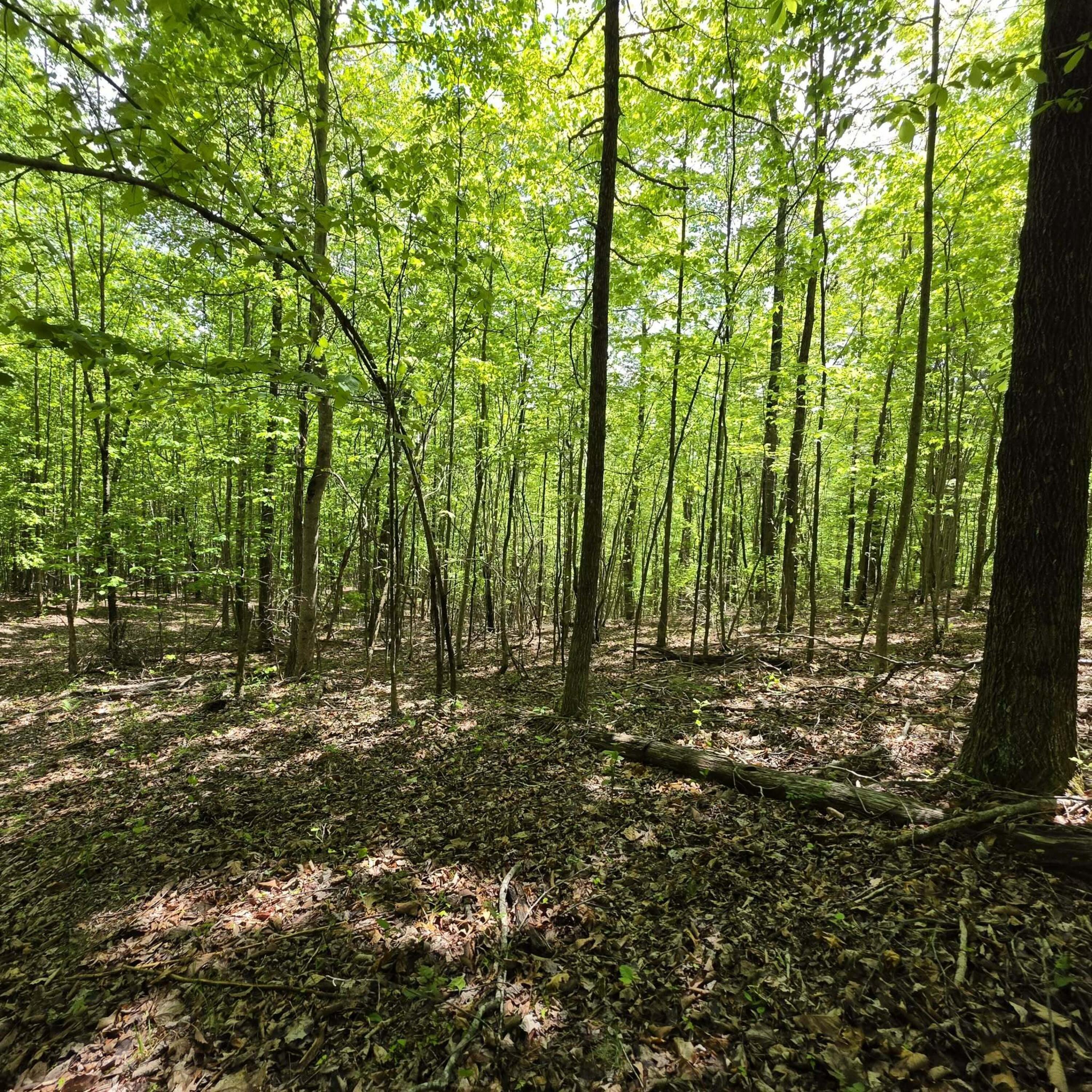 Lot 15b Cluck Cove Road