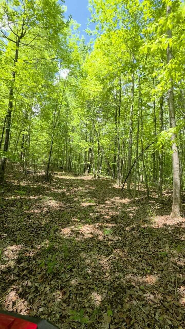 Lot 15b Cluck Cove Road