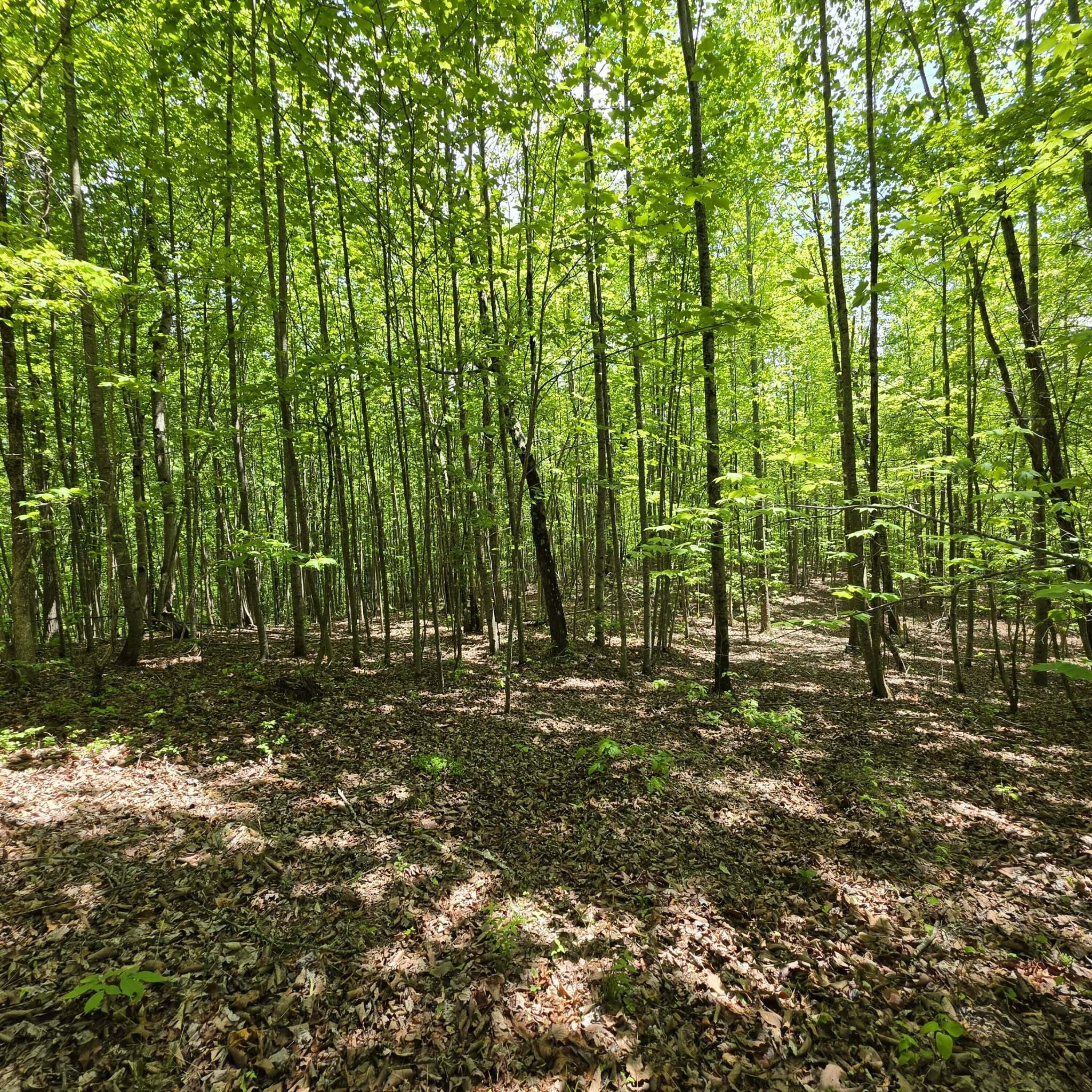 Lot 15b Cluck Cove Road