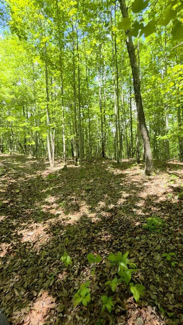 Lot 15b Cluck Cove Road