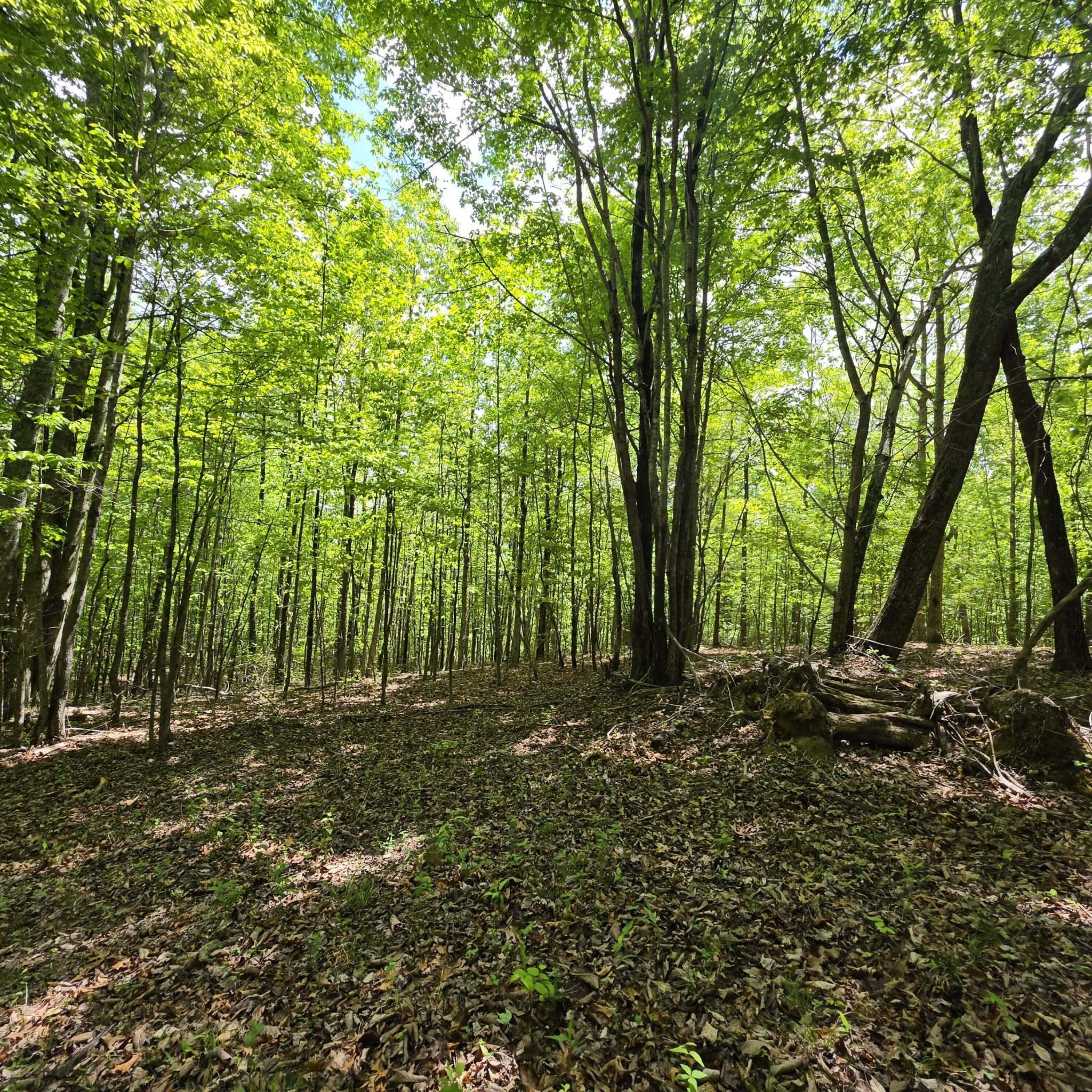Lot 15b Cluck Cove Road