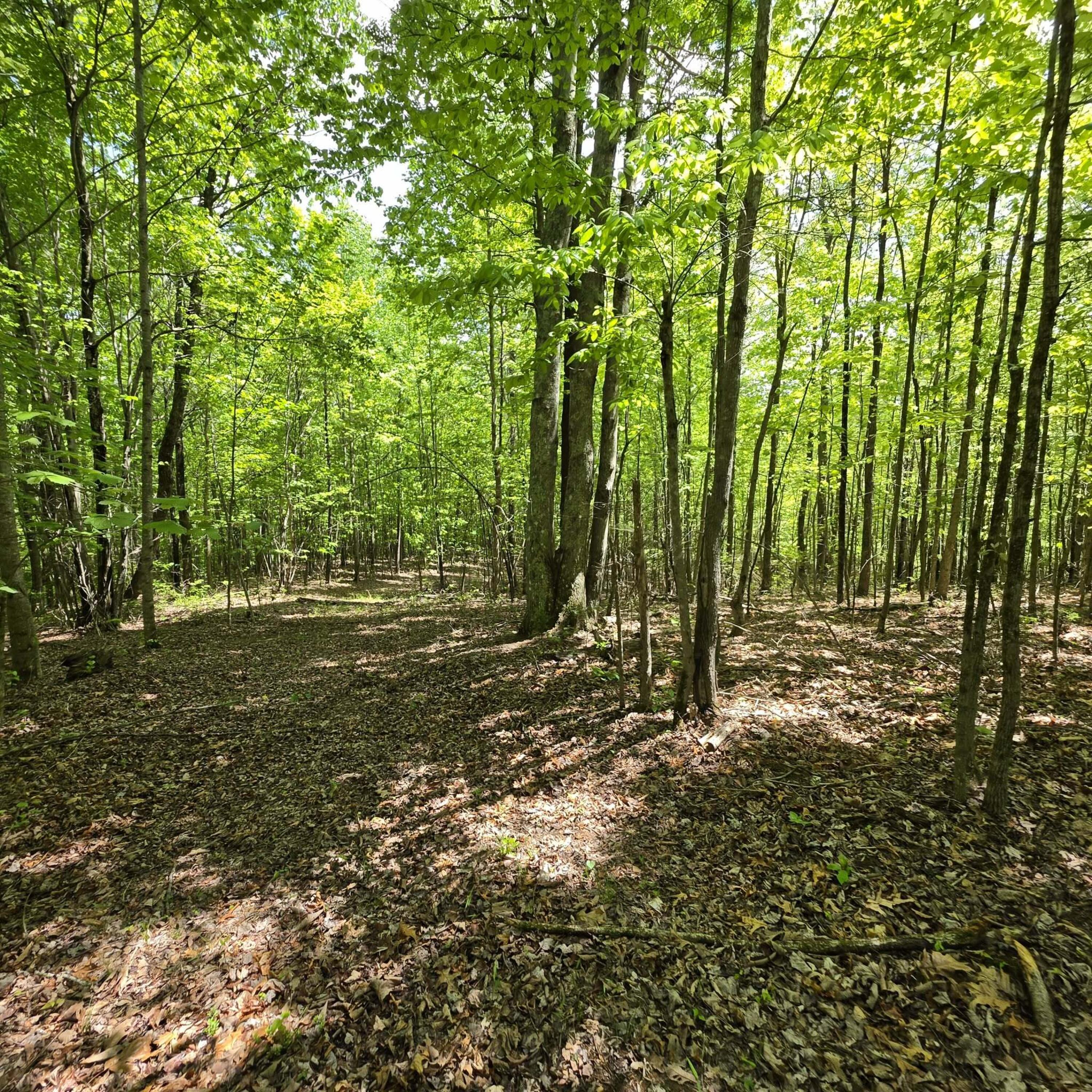Lot 15b Cluck Cove Road
