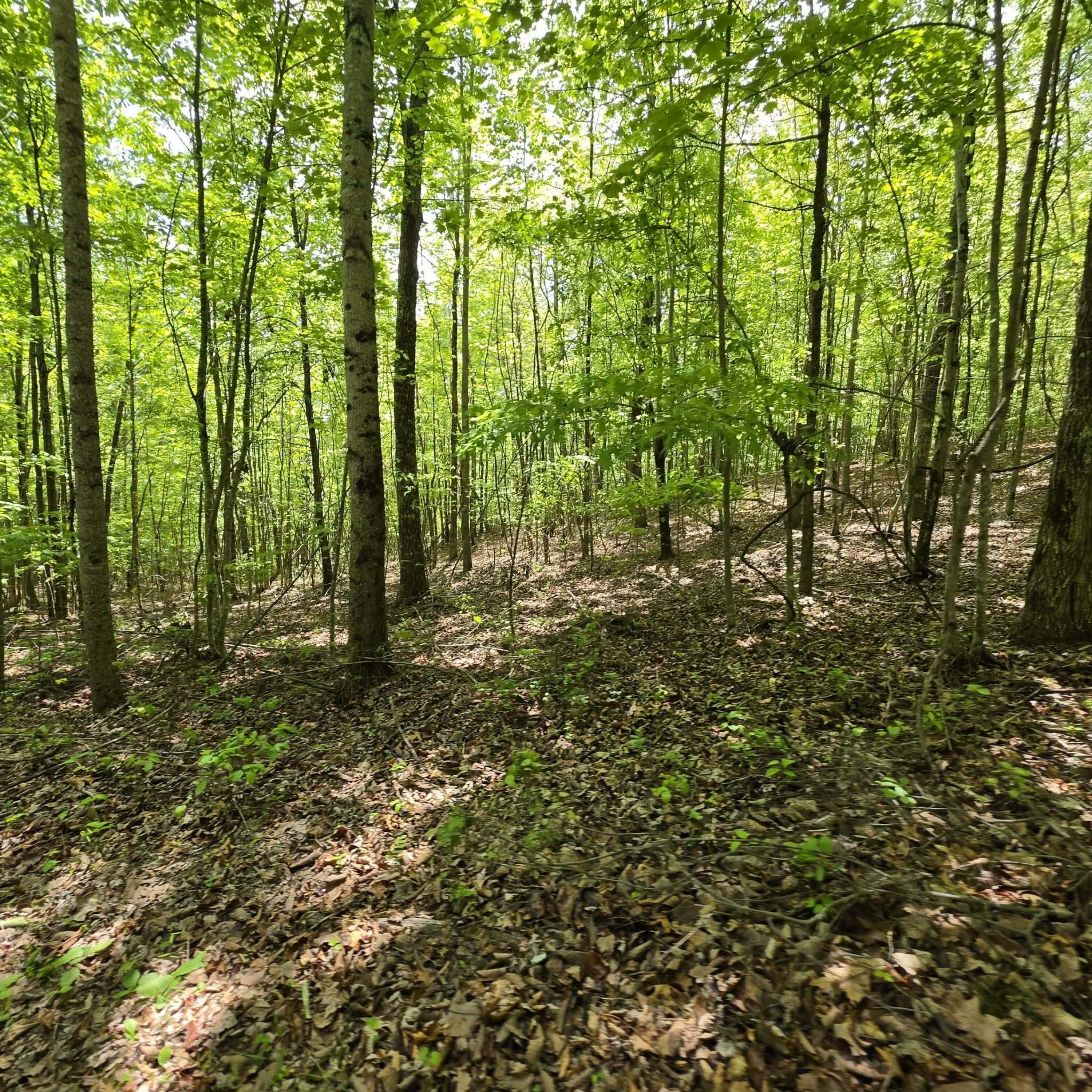 Lot 15b Cluck Cove Road