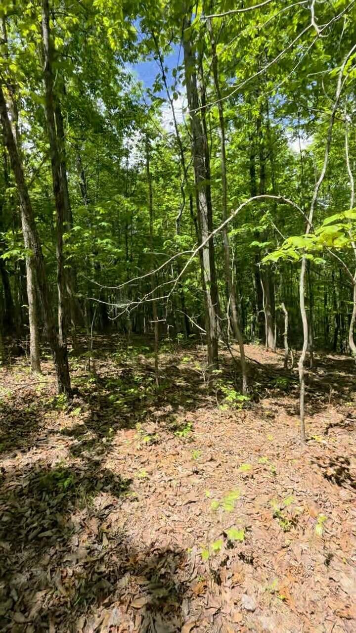 Lot 15b Cluck Cove Road