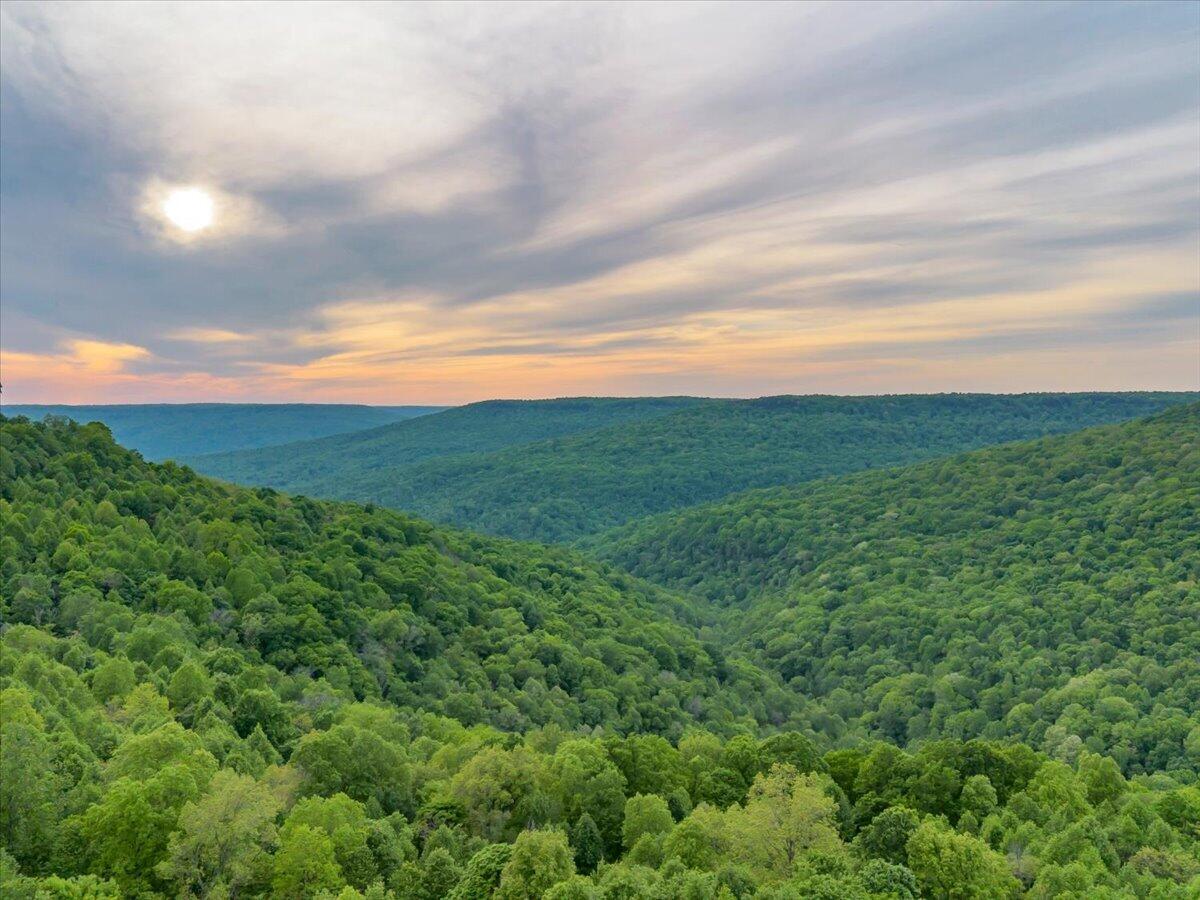 315 Morris Point Lane