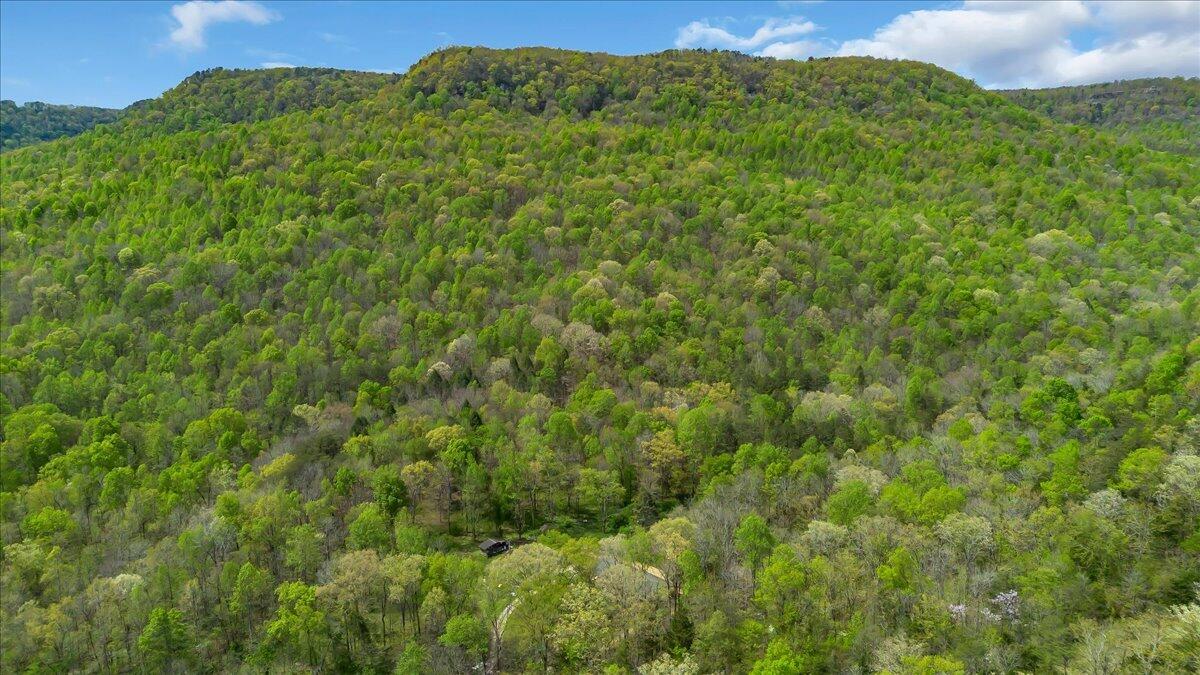 360 Dixon Cove Road