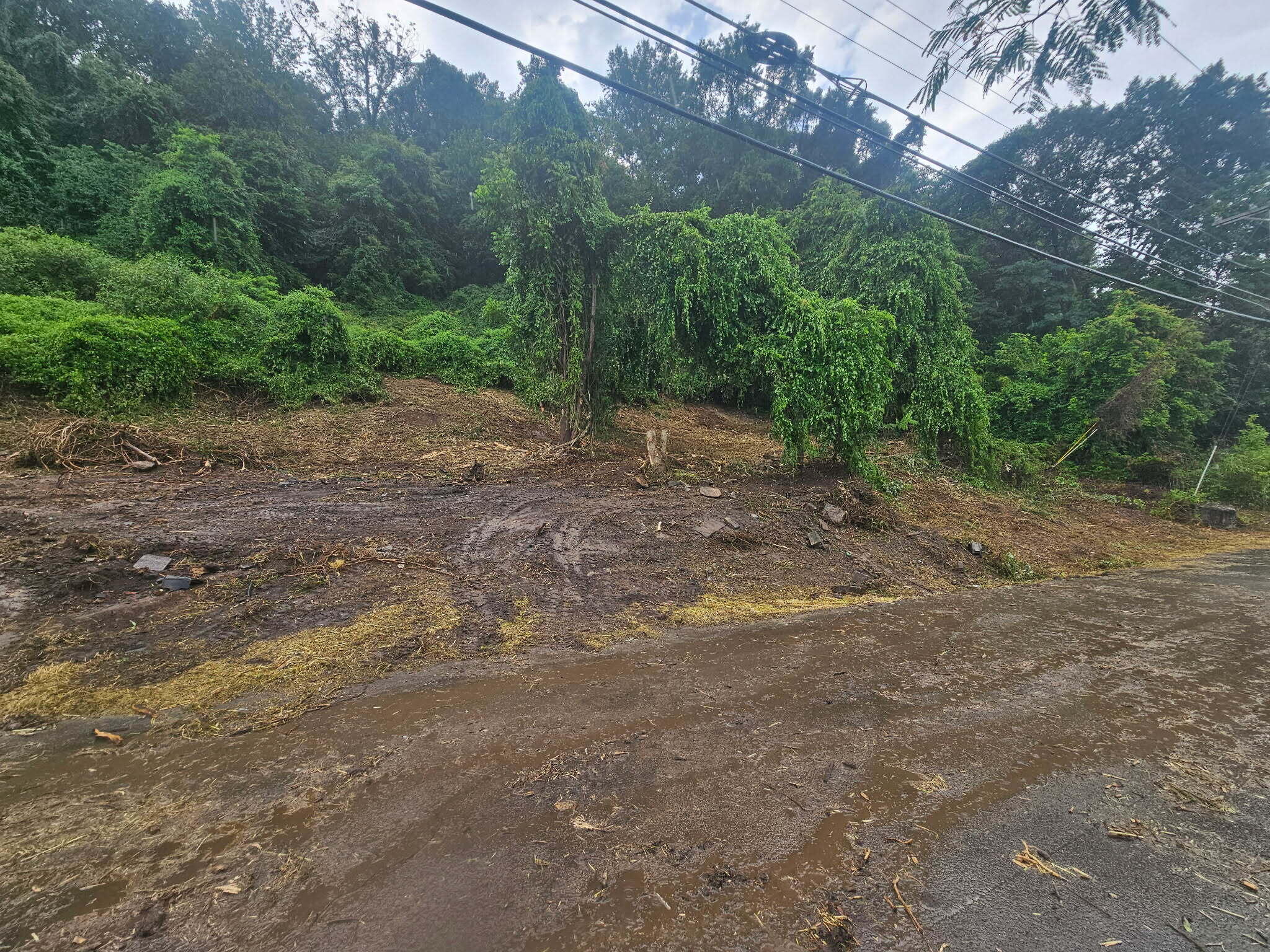 0 Old Jasper Road