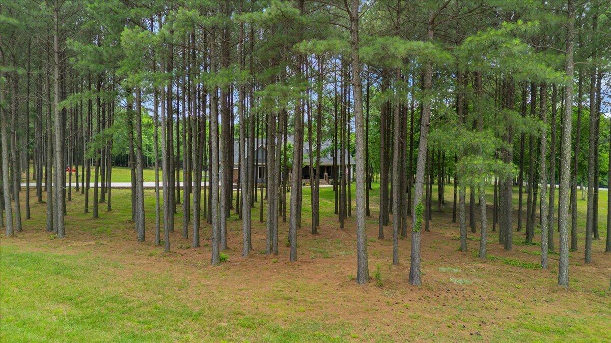 275 Wilderness Drive