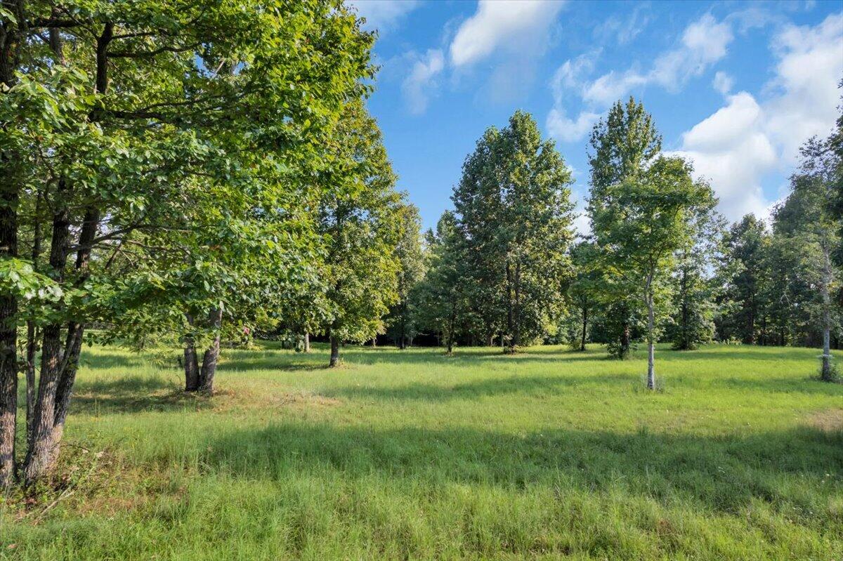 0 Gray Fox Court, 156