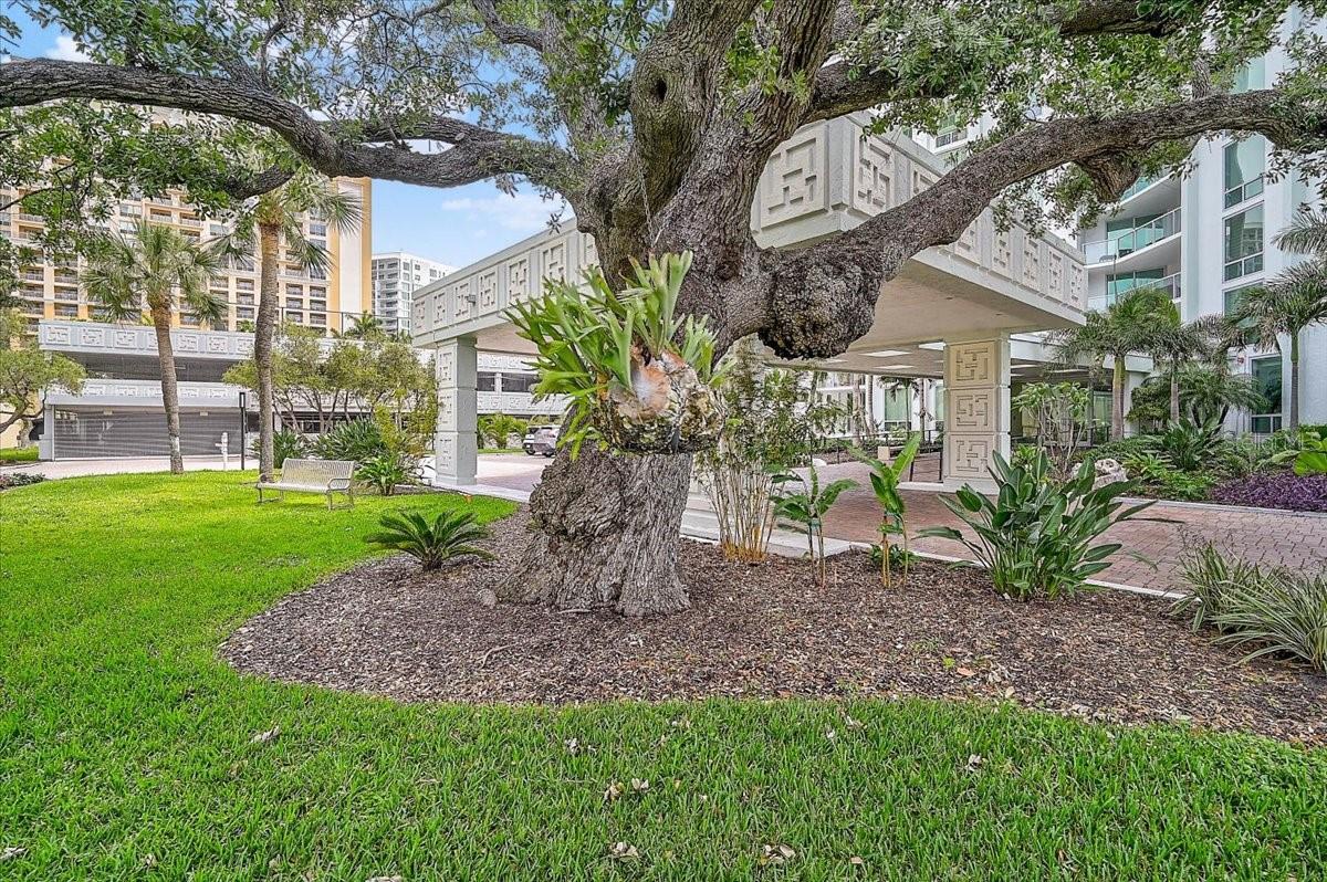 1111 N GULFSTREAM AVE #7C