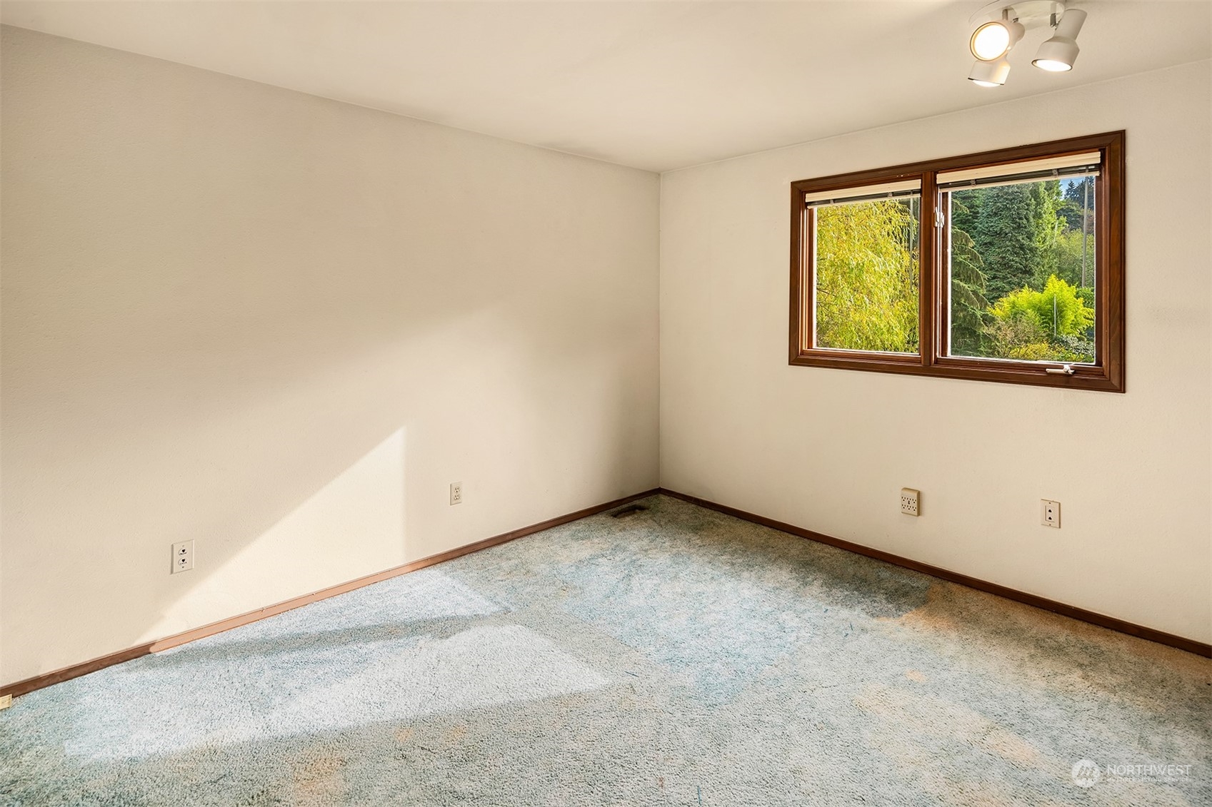 11119 NE 174th Street