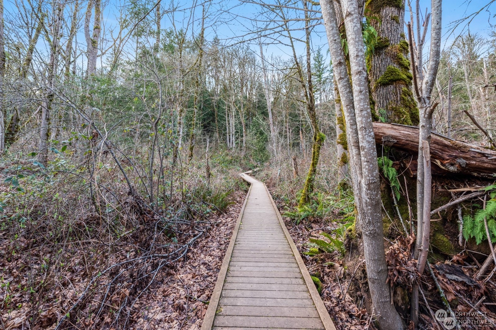 149 Cougar Ridge Rd NW