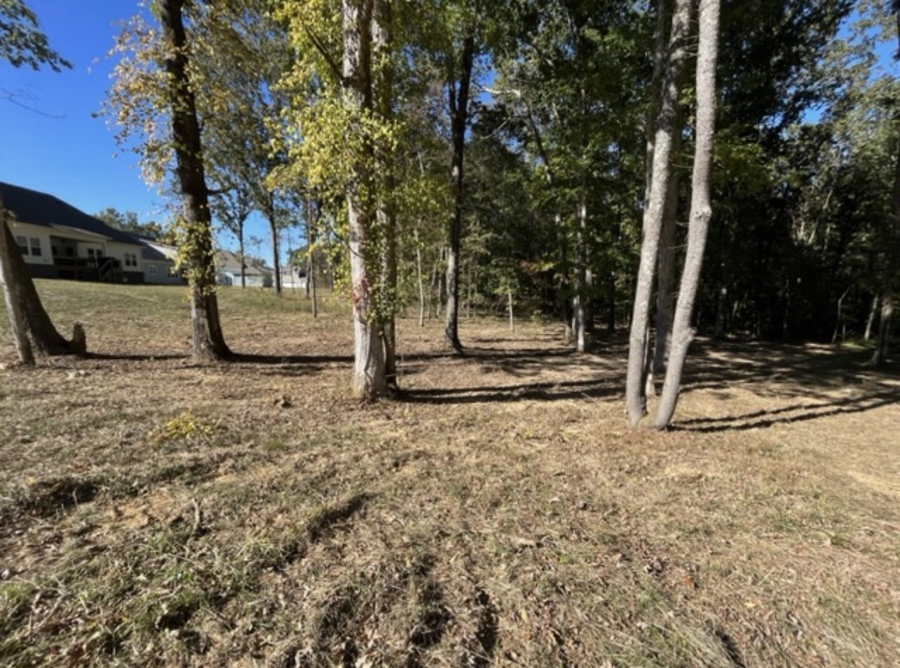7211 Lake Road