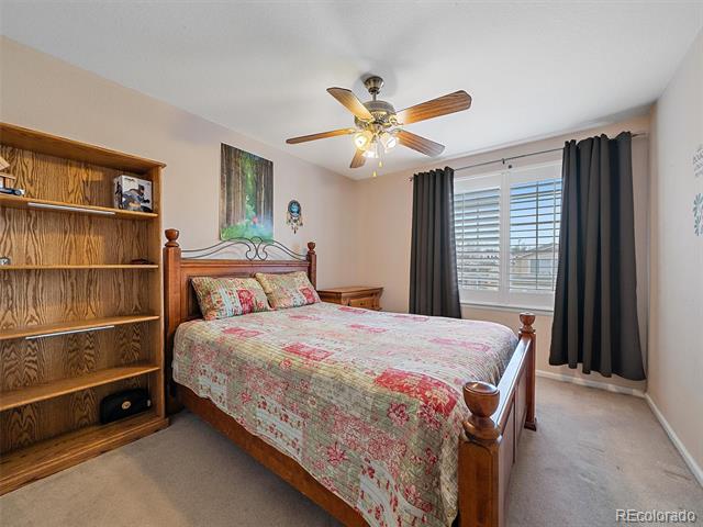 6523 Shannon Trail